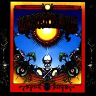 Grateful Dead グレートフルデッド / Aoxomoxoa 輸入盤 【CD】