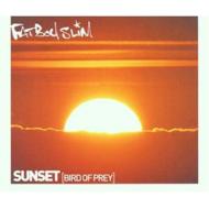 Fatboy Slim ファットボーイスリム / Bird Of Prey: Sunset 輸入盤 【CDS】