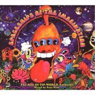 Spaceships Of The Imagination- The Best Of Tip World Ambient 輸入盤 【CD】