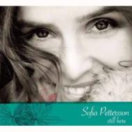 Sofia Pettersson ソフィアペターソン / Still Here 【CD】