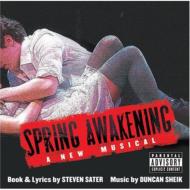 ミュージカル / Spring Awakening 輸入盤 【CD】