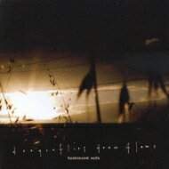 Dragonflies Draw Flame / Harboured Safe 【CD】