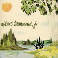【送料無料】 Albert Hammond Jr アルバートハモンド / Yours To Keep 輸入盤 【CD】