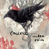 Calexico / Garden Ruin 【LP】