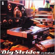 Big Strides  Cry It All Out CD