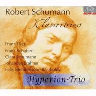 【送料無料】 Schumann シューマン / ピアノ三重奏曲全集、他　ハイペリオン・トリオ(4CD) 輸入盤 【CD】