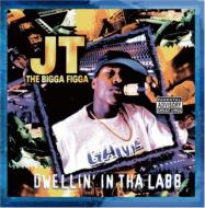 Jt The Bigga Figga / Dwellin In The Labb 輸入盤 【CD】