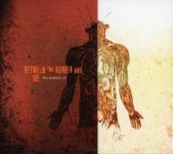 Between The Buried And Me ビトゥイーンバリードアンドミー / Anatomy Of 輸入盤 【CD】