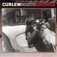 【送料無料】 Curlew / North America 輸入盤 【CD】