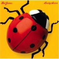 Bob James ボブジェームス / Lucky Seven 輸入盤 【CD】