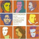 Beethoven ベートーヴェン / 弦楽四重奏曲第13番、大フーガ エンデリオン四重奏団 輸入盤 【CD】