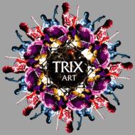 【送料無料】 TRIX トリックス / Art 【CD】