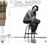 Christophe Dal Sasso / Exploration 輸入盤 【CD】【送料無料】