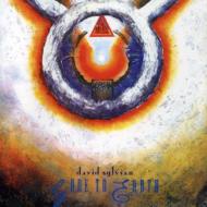 【送料無料】 David Sylvian デビッドシルビアン / Gone To Earth 輸入盤 【CD】