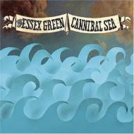 Essex Green / Cannibal Sea 輸入盤 【CD】