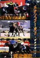 ステイゴールド 旅路の果てに 【DVD】