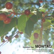 Montag / Goodbye Fear 【CD】