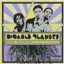 Digable Planets ディゲイブルプラネッツ / Beyond The Spectrum 【LP】