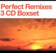 【送料無料】 Perfect Remixes 輸入盤 【CD】