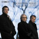 【送料無料】 Schoenberg シェーンベルク / (Piano Trio)verklarte Nacht: Pontinen(P) Wallin(Vn) Thedeen(Vc) +webern 輸入盤 【CD】