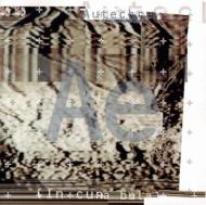 Autechre オウテカ / Incunabula 輸入盤 【CD】