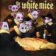 White Mice (Rk) / Assphixxxeatateshun 輸入盤 【CD】