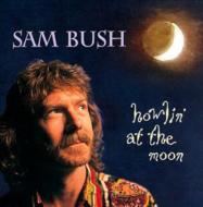 【送料無料】 Sam Bush / Howlin At The Moon 輸入盤 【CD】