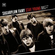 Sugarplum Fairy シュガープラムフェアリー / Stay Young 輸入盤 【CDS】