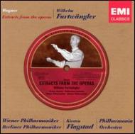 Wagner ワーグナー / "Orch.music: Furtwangler / Bpo, Vpo, Flagstad" 輸入盤 【CD】