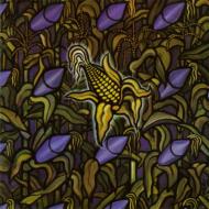 Bad Religion バッドリリジョン / Against The Grain 輸入盤 【CD】