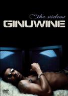 Ginuwine ジニュワイン / Videos 【DVD】