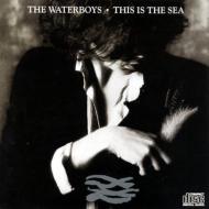【送料無料】 Waterboys ウォーターボーイズ / This Is The Sea 【Copy Control CD】 輸入盤 【CD】