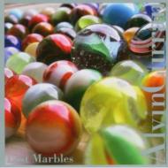 Alvin Curran / Lost Marbles 輸入盤 【CD】