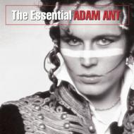 Adam Ant / Essential 【CD】Bungee Price CD20％ OFF 音楽