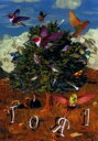 浅野忠信 / トーリ 【DVD】