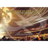 Siam Shade シャムシェイド / Siam Shade V7 - Legend Of Sanctuary 【DVD】