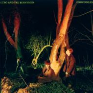 Echo&The Bunnymen エコー＆ザバニーメン / Crocodiles (Expanded & Remastered) 輸入盤 【CD】