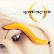 A Perfect Circle アパーフェクトサークル / Thirteenth Step 【LP】