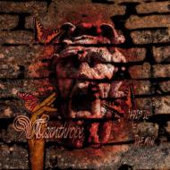 Misanthrope / Sadistic Sex Daemon 【CD】