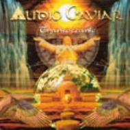 【送料無料】 Audio Caviar / Transoceanic 【CD】