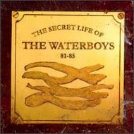 Waterboys ウォーターボーイズ / Secret Life Of 輸入盤 【CD】