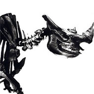 【送料無料】 Mr.Children (ミスチル) / Mr Children 1996-2000 【CD】