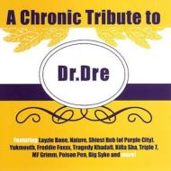 Chronic Tribute To Dr. Dre 輸入盤 【CD】