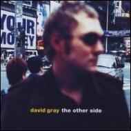 David Gray / Other Side 輸入盤 【CDS】