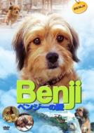 ベンジーの愛 【DVD】