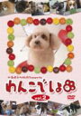 わんこでしょ vol.2 【DVD】