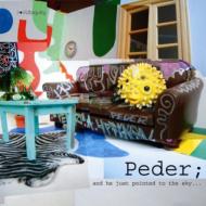 【送料無料】 Peder / And He Just Pointed To The Sky 輸入盤 【CD】