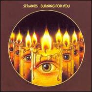 【送料無料】 Strawbs ストローブス / Burning For You 輸入盤 【CD】