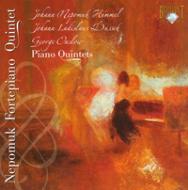 Hummel フンメル / Piano Quintet: Nepomuk Fortepiano Quintet +dussek, Onslow 輸入盤 【CD】