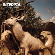 Interpol <strong>インターポール</strong> / Our Love To Admire 【CD】